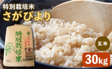 令和5年産 新米 特別栽培米 さがびより 玄米 30kg【だいちの家】特A米 特A評価[HAG007]