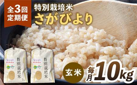【全3回定期便】特別栽培米 さがびより 玄米 10kg【だいちの家】特A米 特A評価[HAG019]