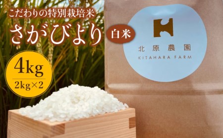 【こだわりの特別栽培米】令和5年産 新米 白米 さがびより 4kg【北原農園】特A米 特A評価[HCA004]