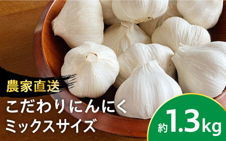 【農家直送！】こだわり にんにく 大小サイズいろいろ 約1.3kg【一ノ瀬農園】ニンニク　 ガーリック [IBQ001]