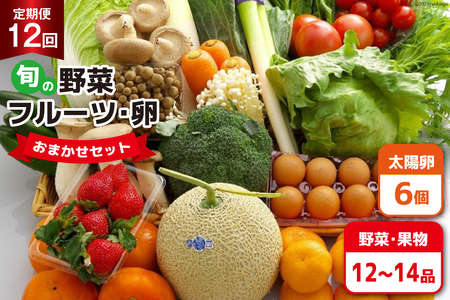 AF059【定期便】【12回】島原の旬の野菜・果物！おまかせ野菜・果物・卵セット