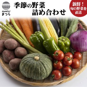 季節の野菜詰め合わせ【A9-009】 野菜 やさい 旬 セット 野菜セット 詰合せ 生野菜 