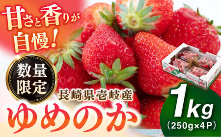 【先行予約】【2025年3月以降順次発送】壱岐市産 いちご ゆめのか 1kg（250g×4パック）《壱岐市》【壱岐市農業協同組合】 イチゴ フルーツ 果物 スムージー 完熟 春いちご 先行予約 数量限定[JBO138]