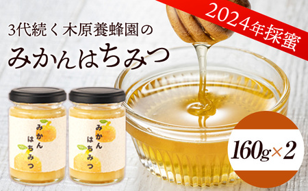 はちみつ 蜂蜜 みかんはちみつ 320g 160g×2本セット《30日以内に出荷予定(土日祝除く)》 ミカン 蜜柑 蜂蜜 熊本県荒尾市産 純粋蜂蜜 木原養蜂園