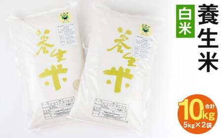 養生米 白米 合計10kg（5kg×2袋）お米 米 精米 ヒノヒカリ【養生市場】