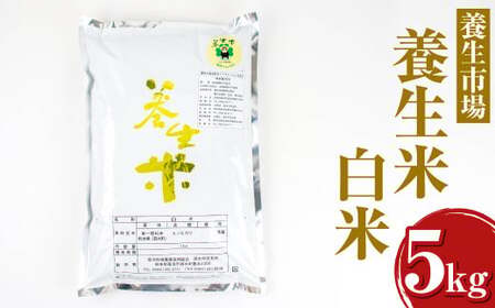 養生米 白米 5kg お米 米 精米 ヒノヒカリ   【養生市場】