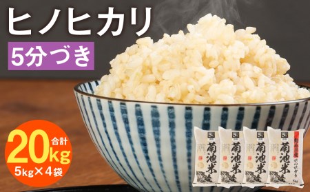 熊本県菊池産 ヒノヒカリ 5kg×4袋 計20kg 5分づき米 お米 分づき米 令和5年産