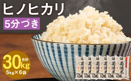 熊本県菊池産 ヒノヒカリ 5kg×6袋 計30kg 5分づき米 お米 分づき米 令和5年産