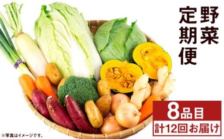 【旬の野菜定期便12回】旬の野菜 8品 12ヶ月定期便 品種おまかせ 詰め合わせ【養生市場】
