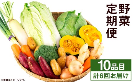 【旬の野菜定期便6回】旬の野菜 10品 6ヶ月定期便 品種おまかせ 詰め合わせ【養生市場】