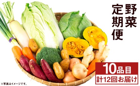 【旬の野菜定期便12回】旬の野菜 10品 12ヶ月定期便 品種おまかせ 詰め合わせ【養生市場】