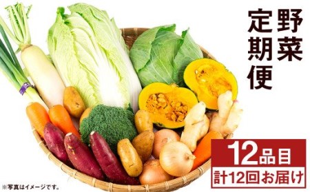 【旬の野菜定期便12回】旬の野菜 12品 12ヶ月定期便 品種おまかせ 詰め合わせ【養生市場】