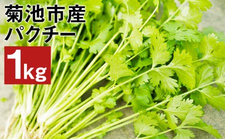 菊池市産 パクチー 1kg コリアンダー 香菜 野菜