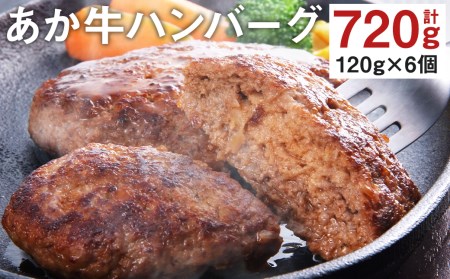 あか牛 ハンバーグ 計720g（120g×6個）日本ギフト大賞熊本賞 国産 和牛 牛肉