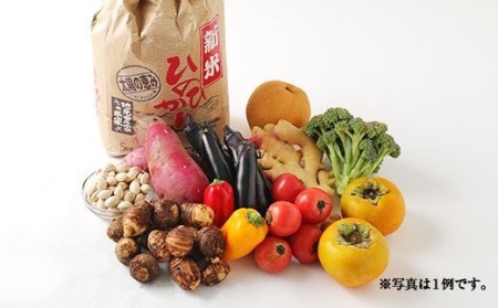 【定期便12回】豊野の恵み 野菜 果物 10品目程度 米 詰め合わせ