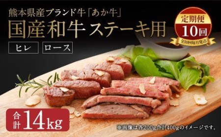 【定期便10か月】熊本県産 ステーキ用 あか牛 ヒレ肉600g ロース肉800g【合計14kg】