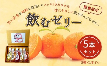 飲むゼリー 5本セット（5種類×1本）果汁50% 柑橘 数量限定