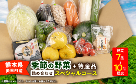 季節の野菜 詰め合わせ「スペシャルコース」【配送不可地域：離島】【1469460】
