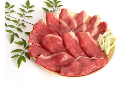 【訳アリ】 くまもとあか牛 すきやき しゃぶしゃぶ用 600g 3～4人前 熊本県産 牛肉