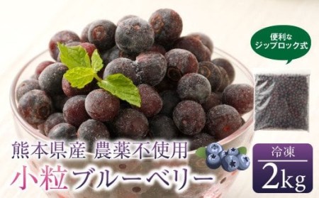 熊本産 小粒 冷凍 ブルーベリー 2kg 果物 フルーツ