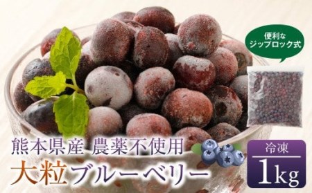 熊本産 大粒 冷凍 ブルーベリー 1kg 果物 フルーツ