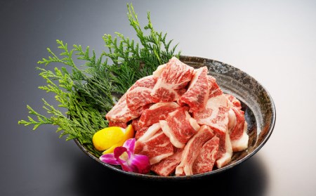 熊本県産 赤牛 焼肉用 500g 肉 お肉 牛肉 焼き肉 牛 カット 九州産