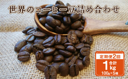 【2ヶ月定期便】世界のコーヒー豆詰め合わせ 500g (100g×5種) コーヒー 珈琲 豆 セット