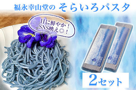 御船町 福永幸山堂のそらいろパスタ 2個入り《30日以内に出荷予定(土日祝除く)》熊本県 御船町 福永幸山堂 パスタ 青いパスタ