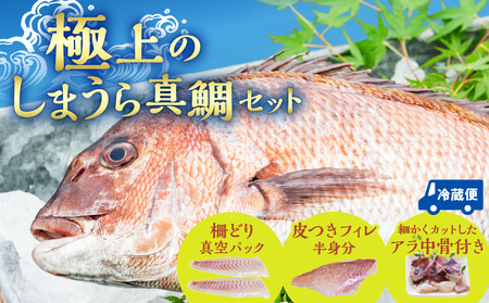 新鮮なしまうら真鯛セット 魚 刺身 魚介