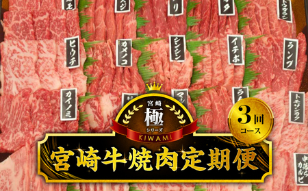 プレミアムシリーズ宮崎牛焼肉定期便 肉 牛 牛肉 焼肉