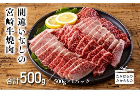 宮崎牛焼肉用(500g)　特番556