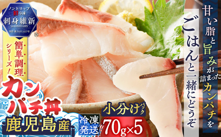 鹿児島産 カンパチ丼 70g×5セット K100-007 魚 刺身 カンパチ 海鮮 丼 カット済 小分け 冷凍 流水解凍 簡単 便利 鮮度 ノンドリップ 急速冷凍 刺身維新 真空パック 津曲商店 ふるさと納税 鹿児島 おすすめ ランキング プレゼント ギフト