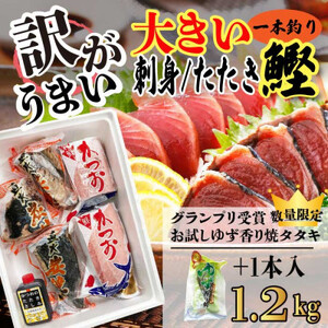 【訳あり・数量限定】大きい!!!サイズの炭火焼鰹タタキ＆さしみ　A0-35【配送不可地域：離島】【1508875】