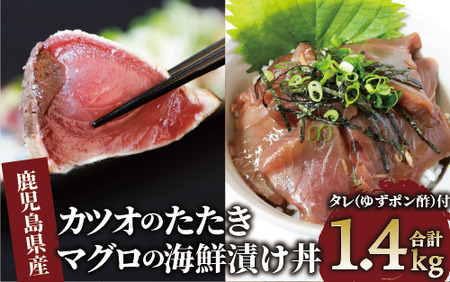 カツオのたたき (約800g)と マグロ の 海鮮 漬け丼 (100g×6P) セット (山川町漁協/010-1646) 海鮮丼 海鮮 カツオ かつおのたたき かつおたたき マグロ漬け丼 マグロ まぐろ 鮪 漬け丼 丼 のっけ丼 海鮮丼 魚介 魚介類 惣菜 総菜 簡単 調理済み セット 指宿食品 漁協 指宿 山川 指宿鰹節 鹿児島 国産 たたき 刺身 お刺身 お造り 魚 人気  冷凍 小分け 一人暮らし 食品  かつおのたたき カツオのタタキ かつおのタタキ 海鮮丼