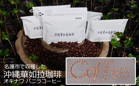【100%名護市産】コーヒー（粉）100g×2袋