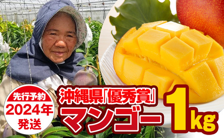 【2024年発送】芳醇な香り　とろける食感　沖縄県「優秀賞」マンゴー1kg
