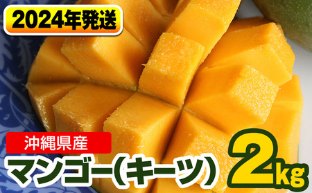 【2024年発送】南国の果物　沖縄県産マンゴー　キーツ　2kg