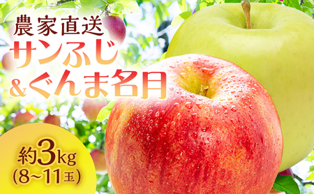 サイキチ農園のサンふじ ぐんま名月 約 3kg (8～11玉) 青森県鰺ヶ沢町産りんご 