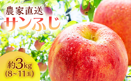 サイキチ農園のサンふじ 約 3kg (8～11玉) 青森県鰺ヶ沢町産りんご 
