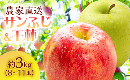 サイキチ農園のサンふじ 王林 約 3kg (8～11玉)青森県鰺ヶ沢町産りんご 