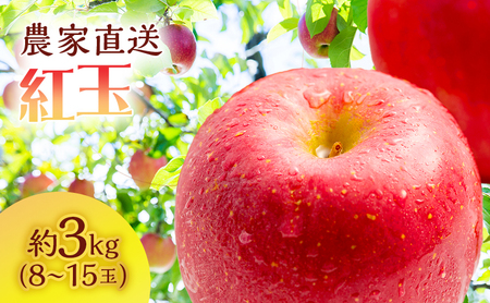 サイキチ農園の紅玉 約 3kg (8～15玉)青森県鰺ヶ沢町産りんご 