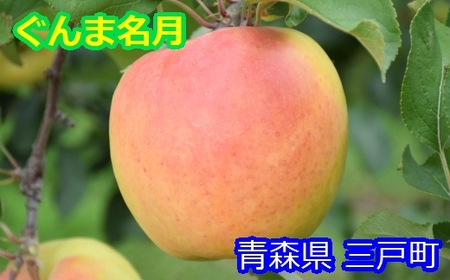 りんご【ぐんま名月】12～18玉（約5kg）【2024年産・先行予約】