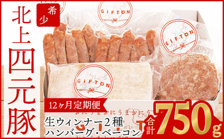 【定期便12ヶ月】GIFTON 岩手県産四元豚 グルメセットA 750g ハンバーグ ウィンナー ベーコン 【1902】