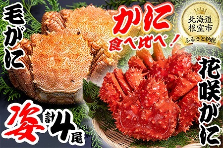 【北海道根室産】かに二種食べ比べセット（花咲ガニ、毛がに） D-80001
