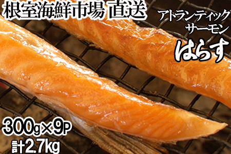 根室海鮮市場＜直送＞無添加甘塩サーモンハラス300g×9P(計2.7kg) A-28236