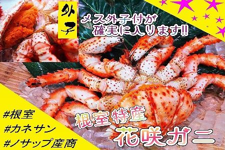 【北海道根室産】花咲ガニオスメス混合3～4尾 D-59002