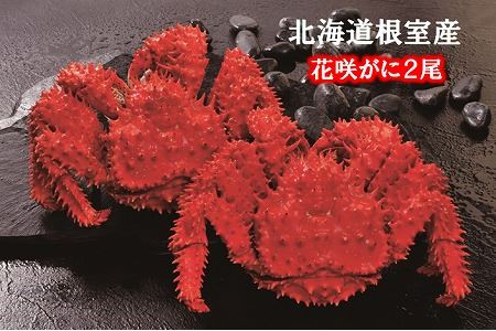 【北海道根室産】花咲がに500g×2尾 B-01027