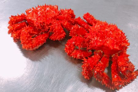 【北海道根室産】花咲蟹2尾(計1.2～1.4kg) B-27016