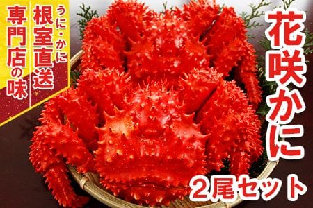 【北海道根室産】ボイル花咲蟹400g～500g×2尾 A-29009
