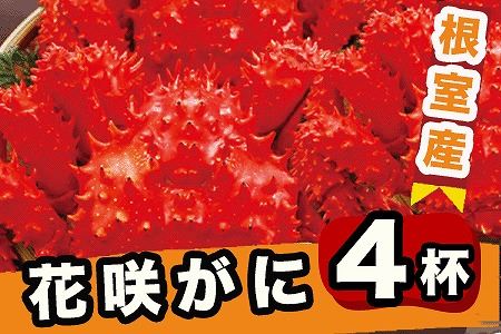 【北海道根室産】ボイル花咲蟹4尾 C-29012